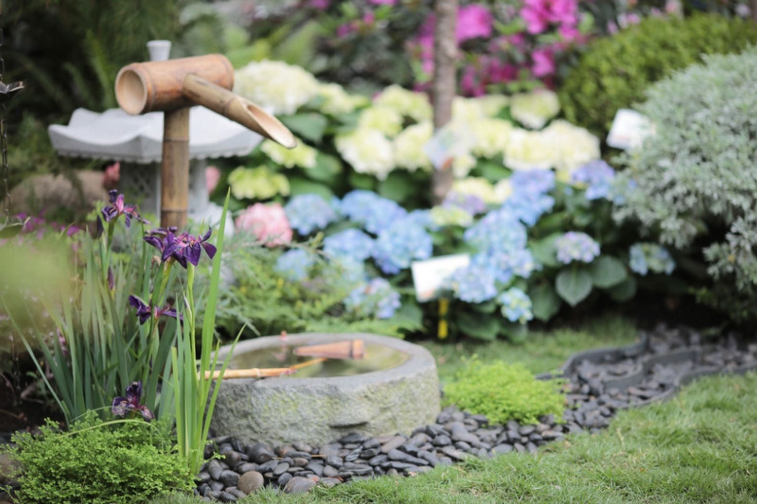 Staudebed med forårsblomster og nye skud